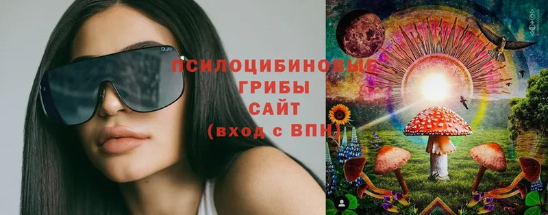 кракен ТОР  Гулькевичи  Галлюциногенные грибы Cubensis 